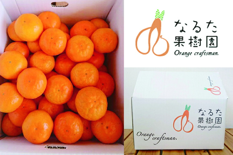 【 先行予約 】みかん 5kg 家庭用 温州みかん 蜜柑 高知 フルーツ スイーツ お裾分け デザート 柑橘 ジャム お菓子 成田果樹園 宿毛市 高知県 ギフト 贈り物 季節