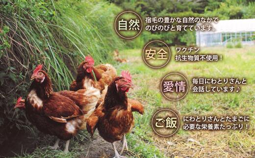 たまご 18個 ( 6個入り×3パック )