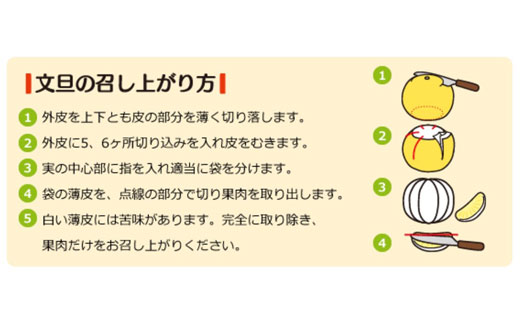 【贈答用】土佐文旦 約5kg (L~4L約8~13個) 成田果樹園