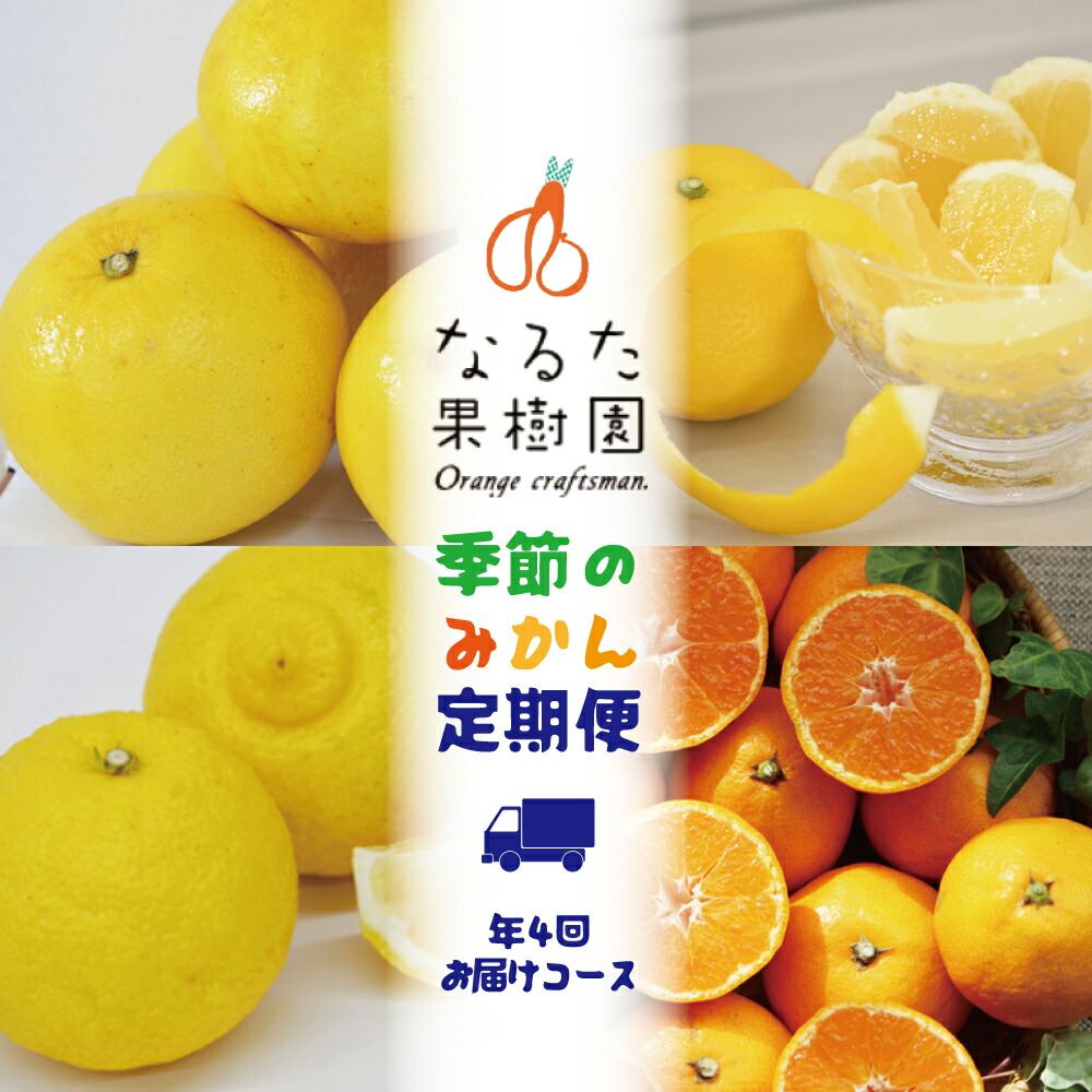 【定期便4回】なるた果樹園 みかん ぽんかん 土佐文旦 温州みかん 小夏 ぶんたん 文旦 果物 フルーツ 4回 季節 高知 宿毛 ジャム マーマレード