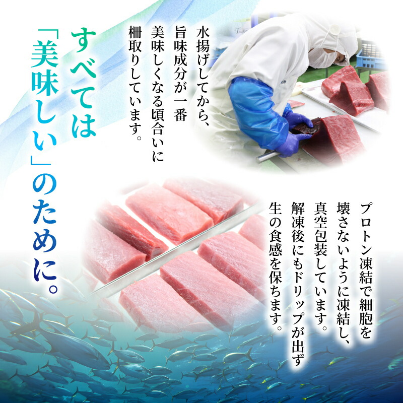 本マグロ3種セット (大トロ・中トロ・赤身)  約1kg  (高知道水)