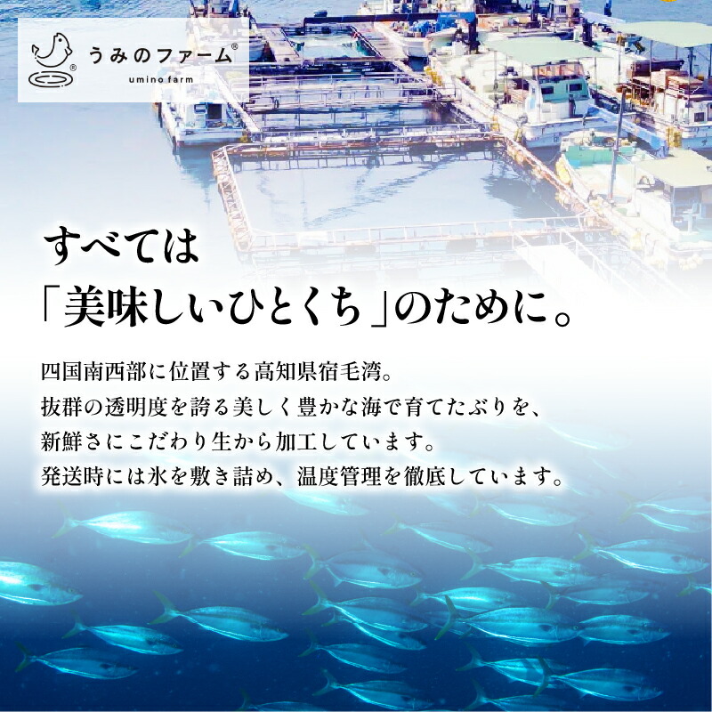 ぶり 400g 冷蔵 サンライズファーム