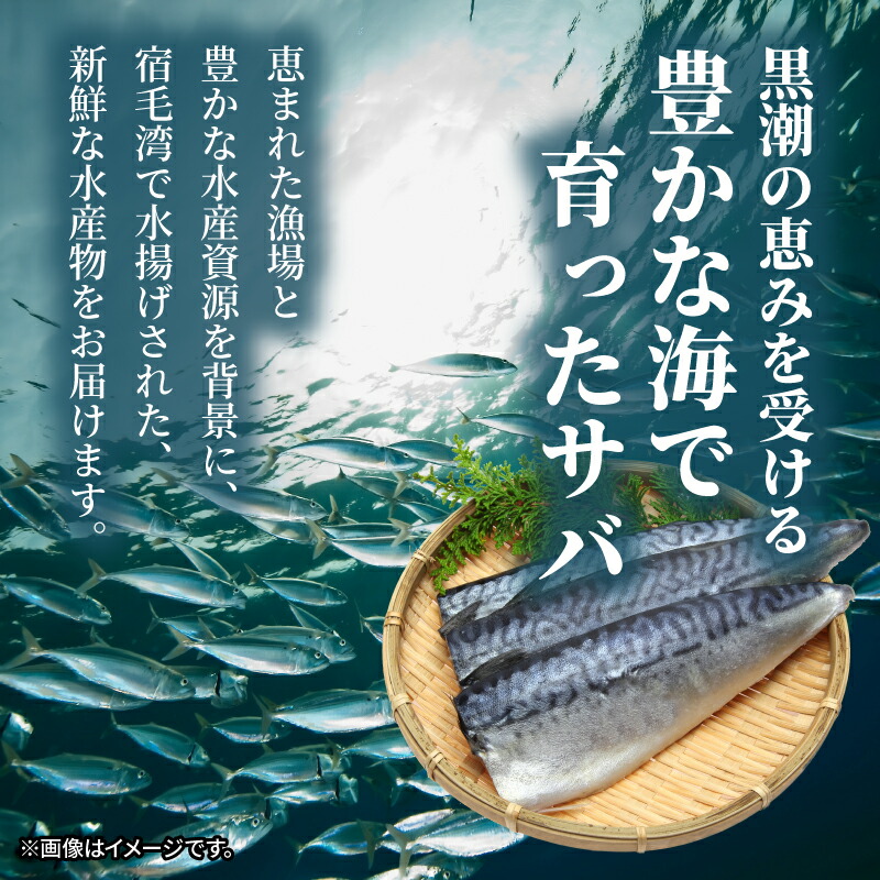 さばみりん 約600g (3袋) すくも湾漁業組合