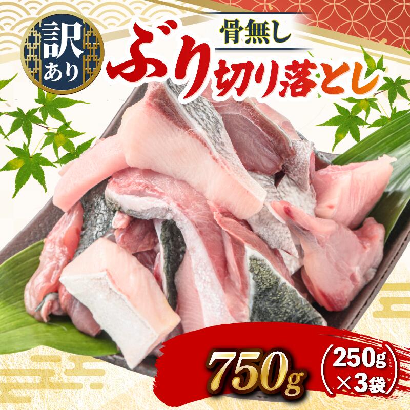 ブリ切り落とし 約750g(250g×3袋)  すくも湾漁業組合