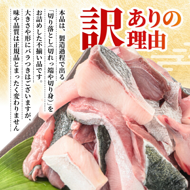 ブリ切り落とし 約750g(250g×3袋)  すくも湾漁業組合