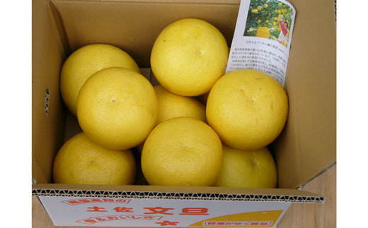 龍馬がゆく園芸の土佐文旦5kg 【家庭用】
