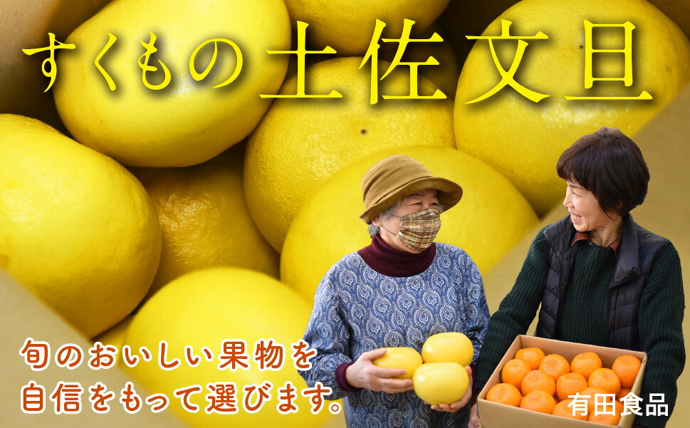 土佐文旦 10kg 家庭用 有田食品