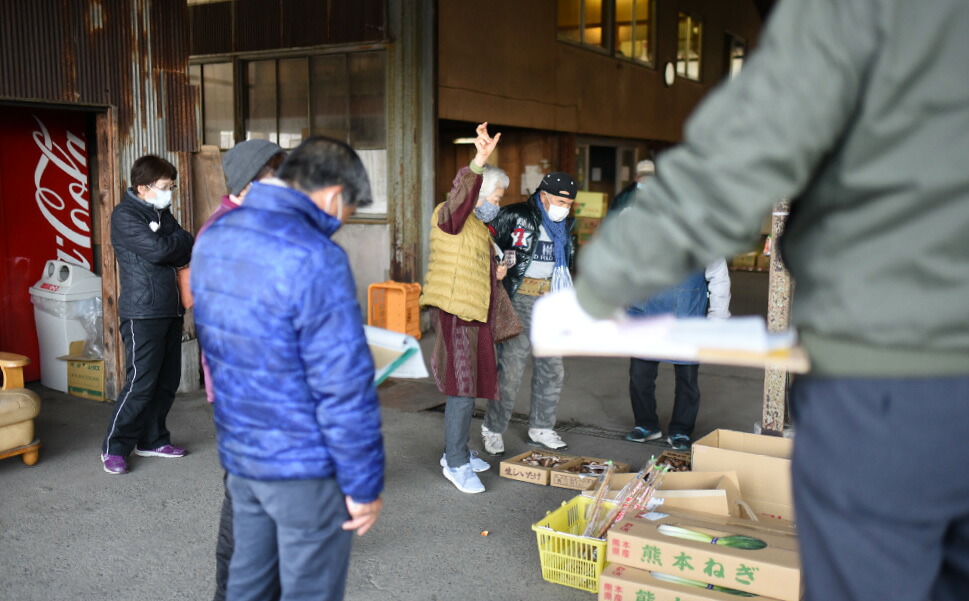 土佐文旦 10kg 家庭用 有田食品