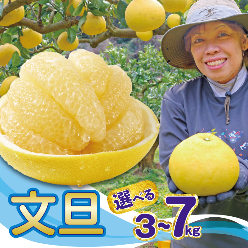 清家農園の文旦3kg