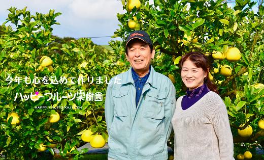 ハッピーフルーツ果樹園の電子文旦3kg贈答用