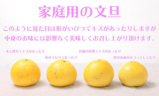 ハッピーフルーツ果樹園の電子文旦3kg贈答用