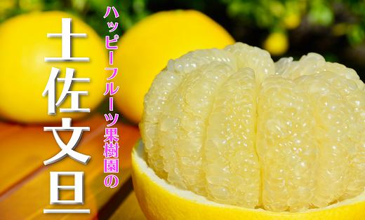 ハッピーフルーツ果樹園 土佐文旦 家庭用 L~4L 文旦 ぶんたん みかん 高知 フルーツ スイーツ 蜜柑 お裾分け デザート 柑橘 期間限定