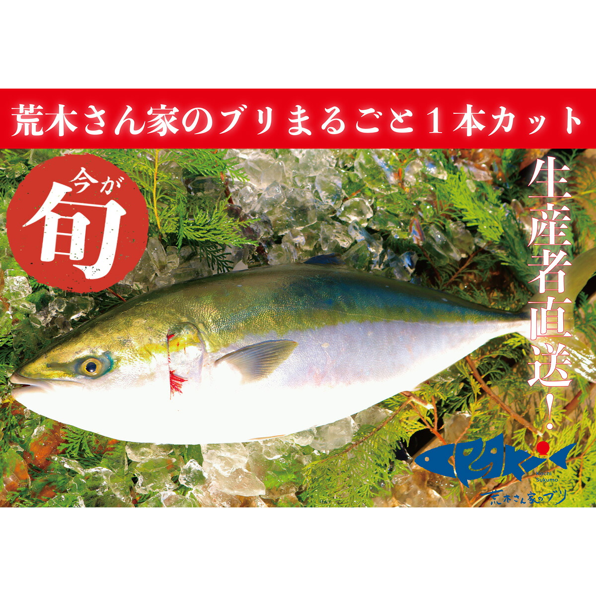 『荒木さん家のブリ』 まるごと一匹カット