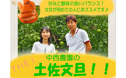 中西農園の土佐文旦10kg家庭用(大玉)