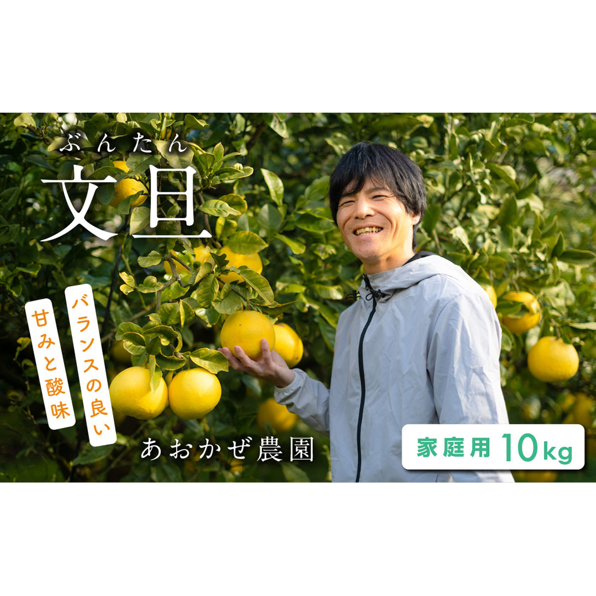 あおかぜ農園の土佐文旦 約10kg家庭用
