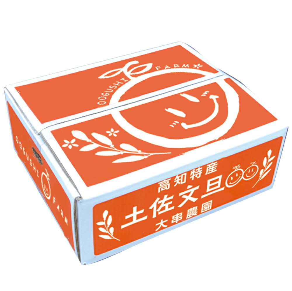 土佐文旦 10kg 家庭用
