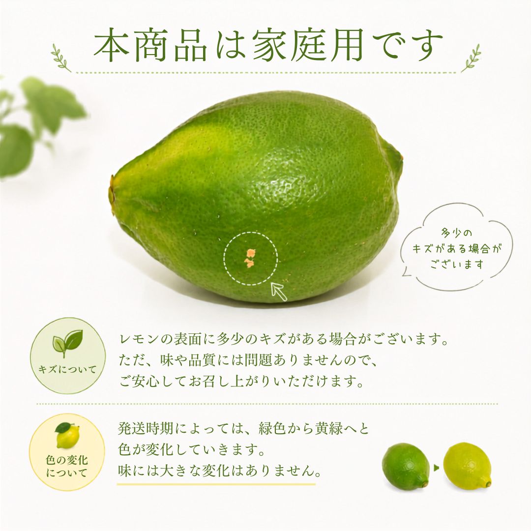 【先行予約】グリーンレモン 3kg 家庭用 レモン 檸檬 れもん 柑橘 果物 フルーツ なるた果樹園 グリーン サラダ 酒 ジュース 炭酸 割り 爽やか アレンジ レシピ 高知県 宿毛市