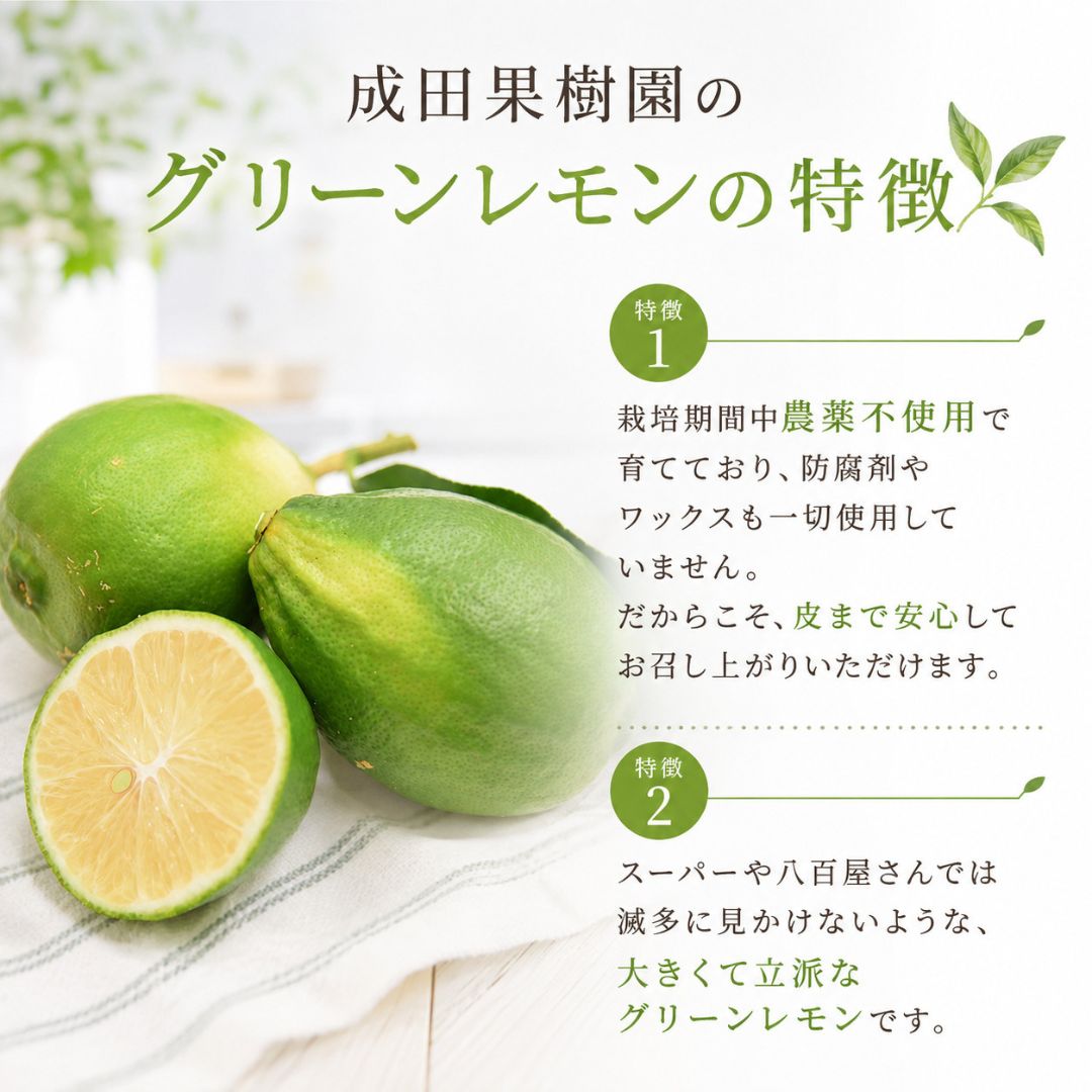 【先行予約】グリーンレモン 3kg 家庭用 レモン 檸檬 れもん 柑橘 果物 フルーツ なるた果樹園 グリーン サラダ 酒 ジュース 炭酸 割り 爽やか アレンジ レシピ 高知県 宿毛市