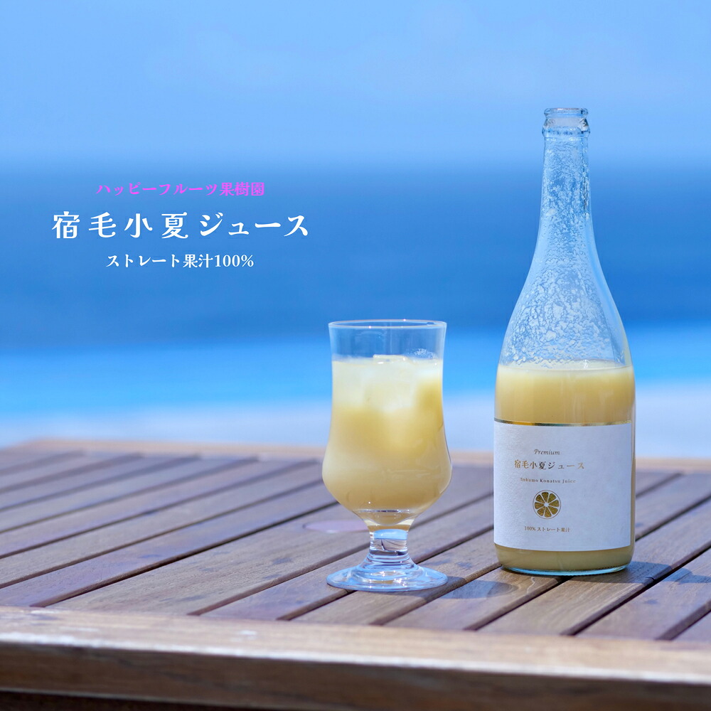 先行予約 2026年 4月発送 ハッピーフルーツ果樹園 宿毛小夏ジュース 化粧箱入り 柑橘 みかん ストレート 100% 無添加 果汁 ギフト プレゼント 贈り物 フルーツジュース 果物 産地直送 高