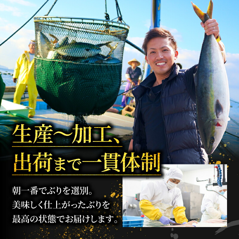かつお ぶり 食べ比べ 藁焼き セット ブリ 鰤 かつお カツオ かつおのたたき 魚 海鮮 おかず お惣菜 お酒 に 合う 冷凍 真空 調味料 ポン酢 塩 しお ブリ・カツオ藁焼きたたき食べ比べセット