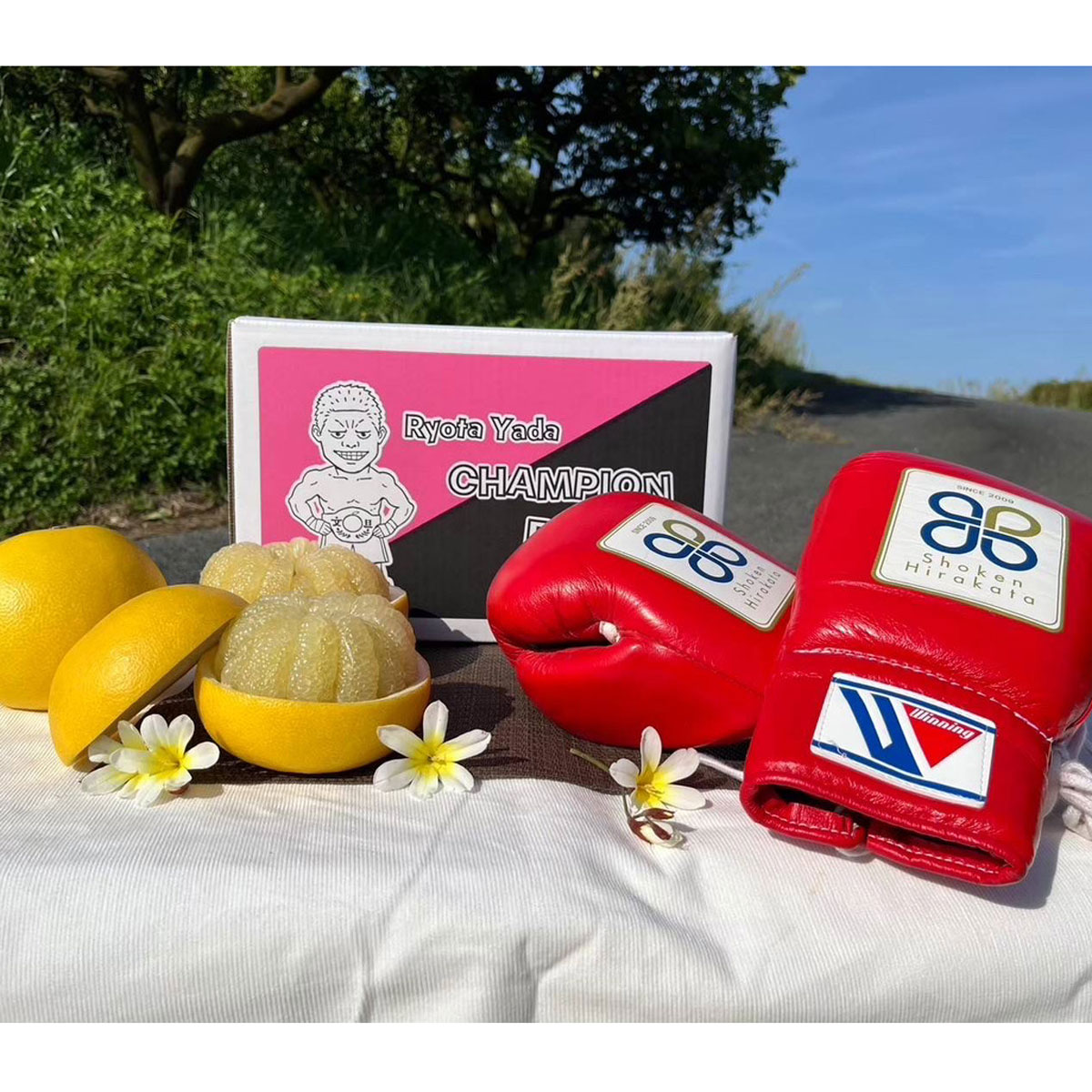 令和9年 土佐文旦 約5kg