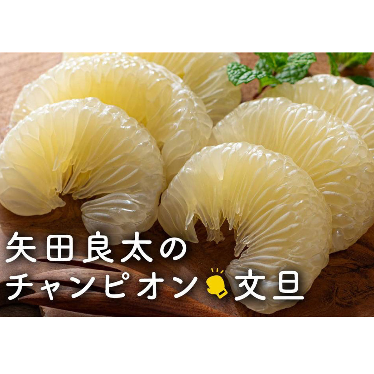 【先行予約】訳あり 土佐文旦 5kg  2月発送 蜜柑 文旦 ぶんたん 柑橘 果物 フルーツ 土佐 文旦 分担 ブンタン ゼリー ジュース アイス 国産  高知県 宿毛市  矢田良太のチャンピオン文旦