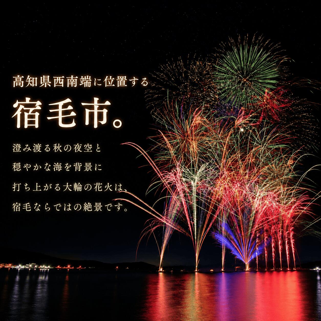 市民祭宿毛まつり応援寄付金 2026 Aプラン