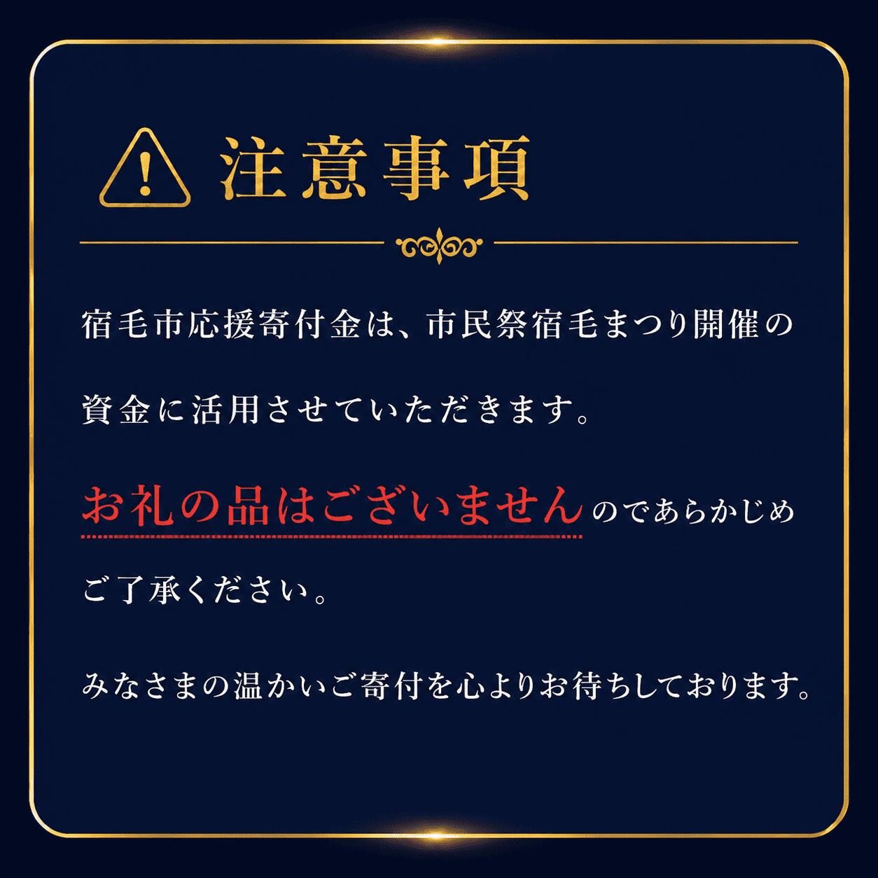 市民祭宿毛まつり応援寄付金 2026 Aプラン