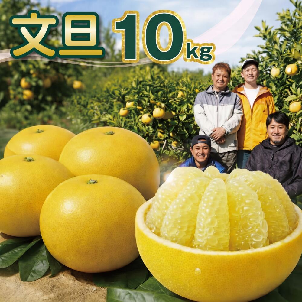 宿毛の土佐文旦 【家庭用】 10kg(L~5L 約15~25個前後)