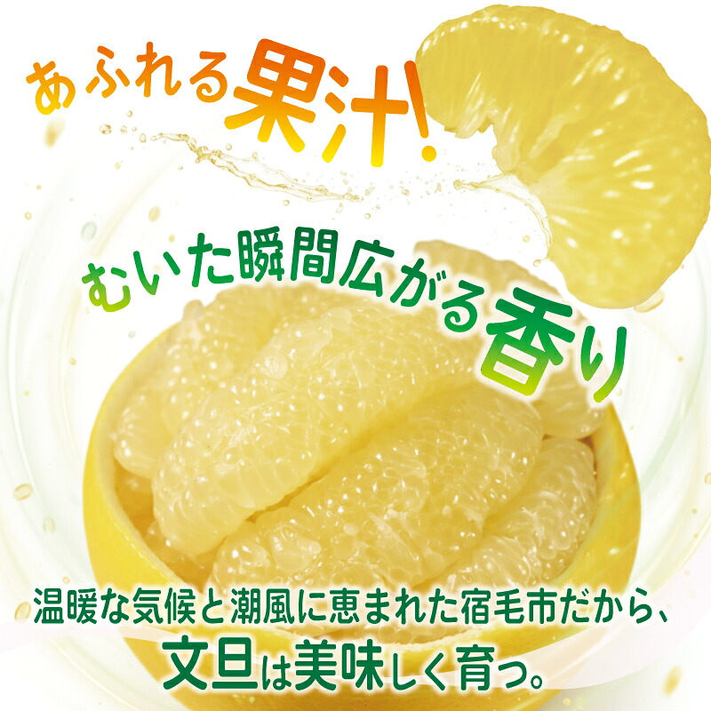 宿毛の土佐文旦 【家庭用】 10kg(L~5L 約15~25個前後)