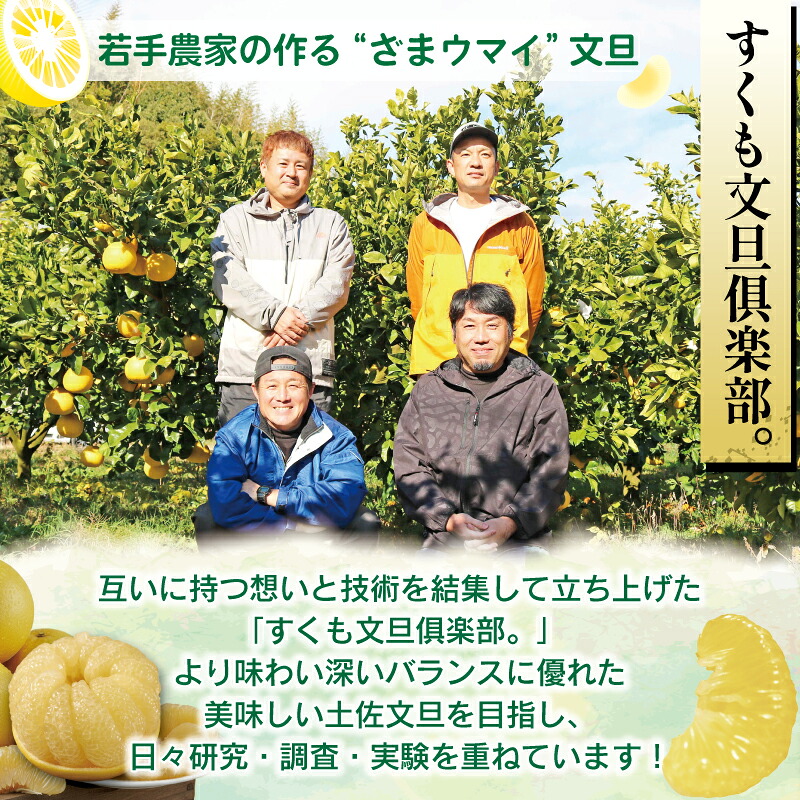 宿毛の土佐文旦 【家庭用】 10kg(L~5L 約15~25個前後)