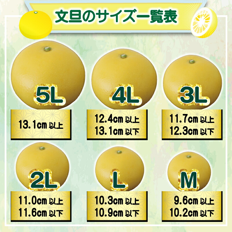 宿毛の土佐文旦 【家庭用】 10kg(L~5L 約15~25個前後)
