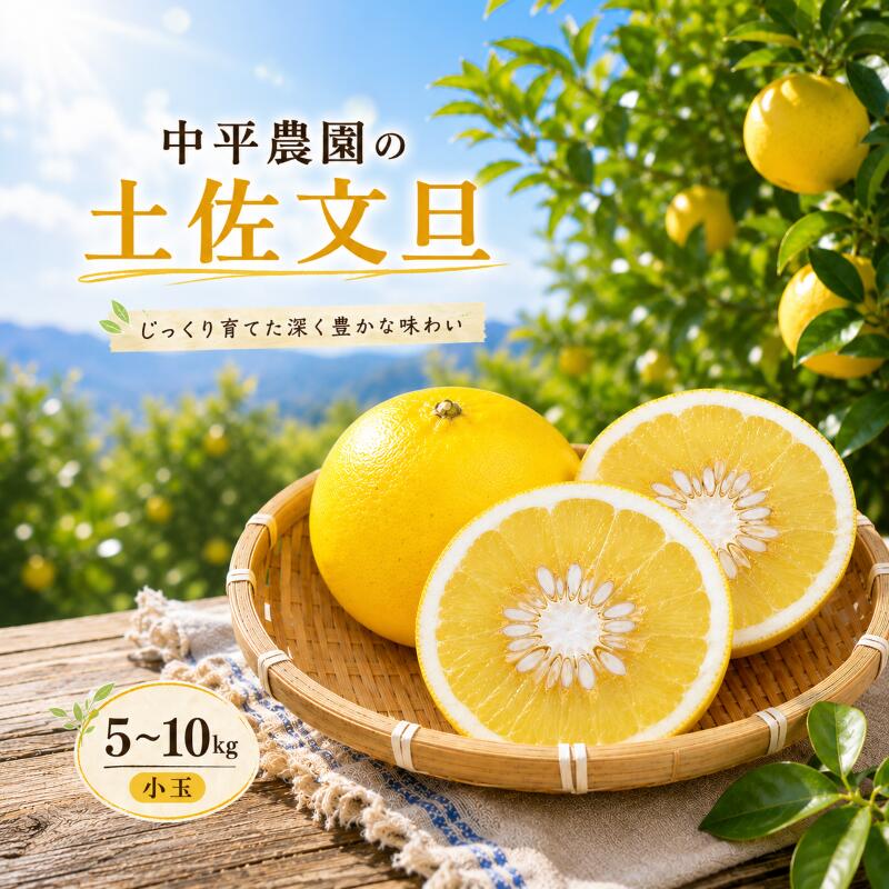 中平農園の土佐文旦 5kg 家庭用