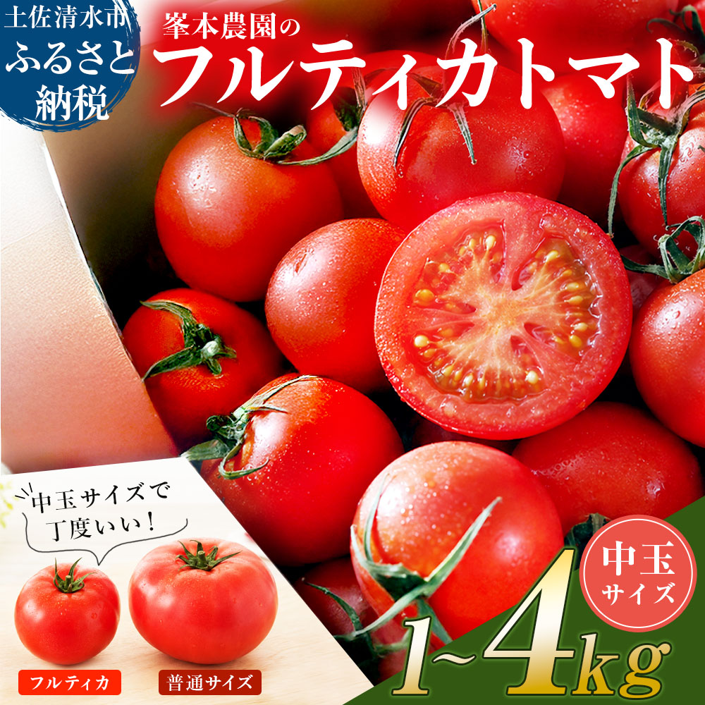 【11月発送】トマト魂！峯本の贅沢フルティカトマト（中玉サイズ）1~4kg 1~4キロ 【R01409】