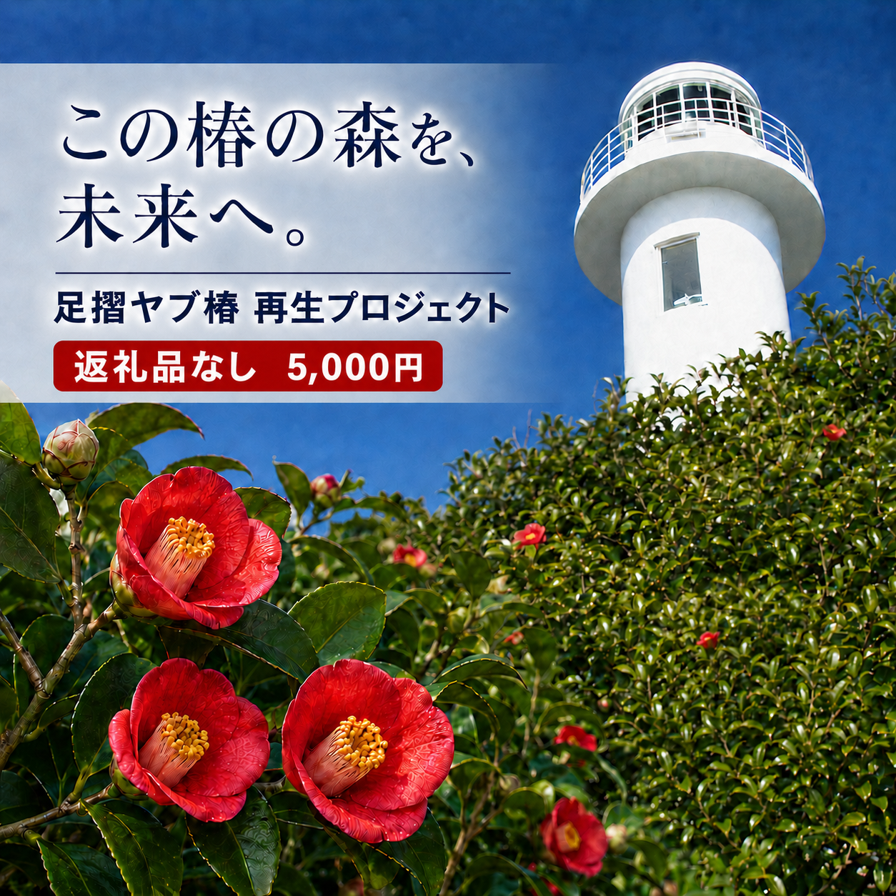 【R01751】5,000円（1,500円分）足摺ヤブ椿再生プロジェクト 応援ラウドファンディング 募金