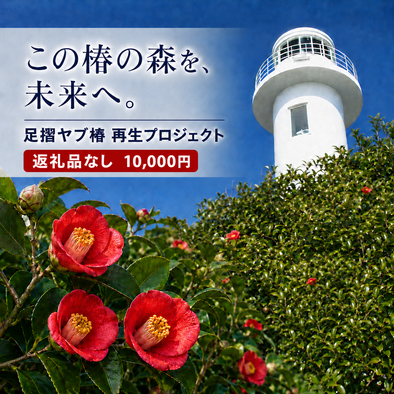【R01752】10,000円（3,000円分）足摺ヤブ椿再生プロジェクト 応援ラウドファンディング 募金