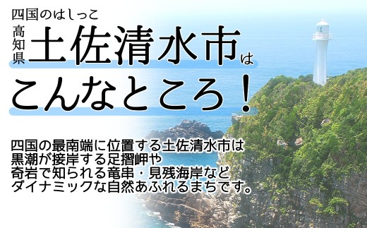 【R01753】50,000円（15,000円分）足摺ヤブ椿再生プロジェクト 応援ラウドファンディング 募金