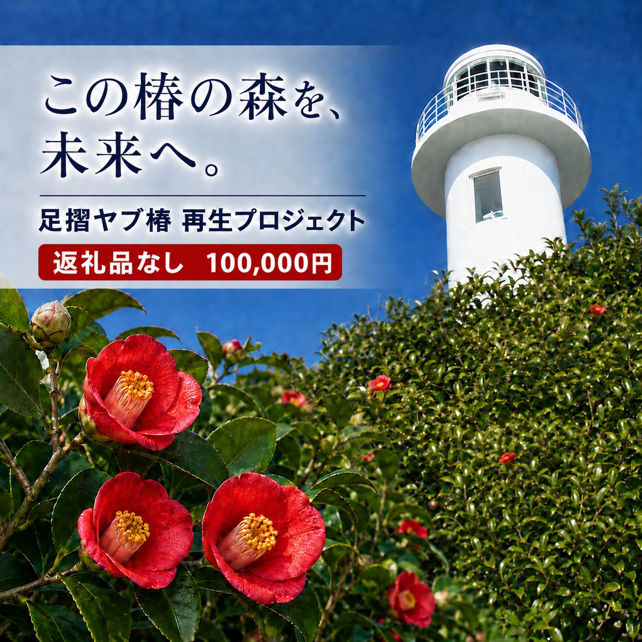 【R01754】 100,000円（30,000円分）足摺ヤブ椿再生プロジェクト 応援ラウドファンディング 募金