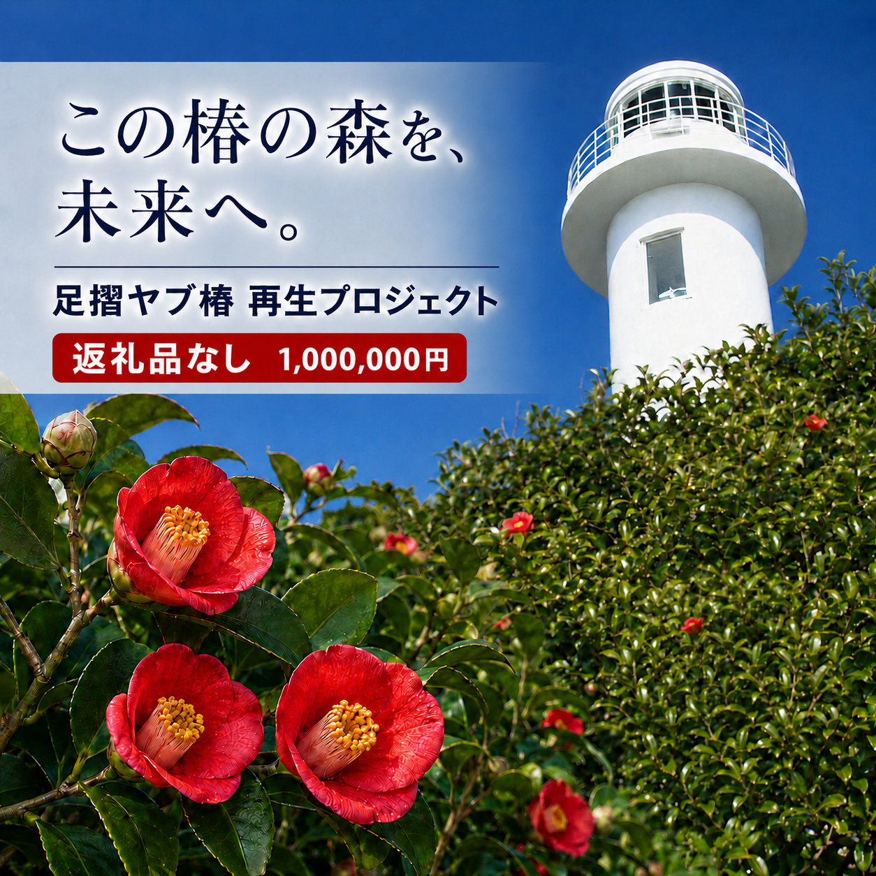【R01755】1,000,000円（300,000円分） 足摺ヤブ椿再生プロジェクト 応援ラウドファンディング 募金
