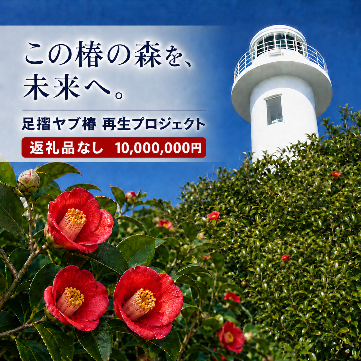 【R01756】10,000,000円（3,000,000円分） 足摺ヤブ椿再生プロジェクト 応援ラウドファンディング 募金