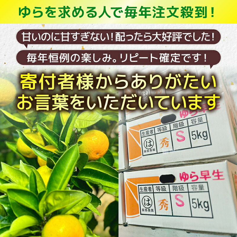 服部さんが育てたみかん｢極早生ゆら｣Ｓサイズ 5kg 服部農園 極早生 ゆら 由良 みかん Sサイズ 5Kg  小玉 早生 緑みかん 果物 フルーツ くだもの 完熟 柑橘 甘い 酸味 蜜柑 HT-02