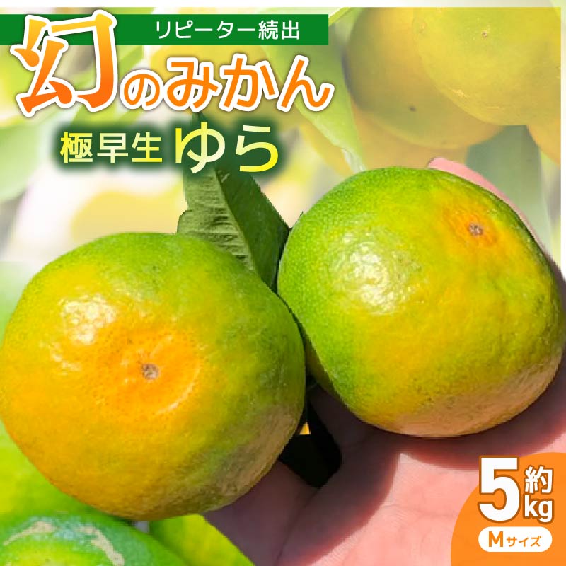 先行予約服部さんが育てた｢ゆら早生みかん｣Mサイズ 5kg 早期予約 家庭用 みかん 5kg Mサイズ 柑橘 蜜柑 ゆら早生 期間限定 季節限定 先行予約 ふるさと納税 人気 クリスマス HT0003