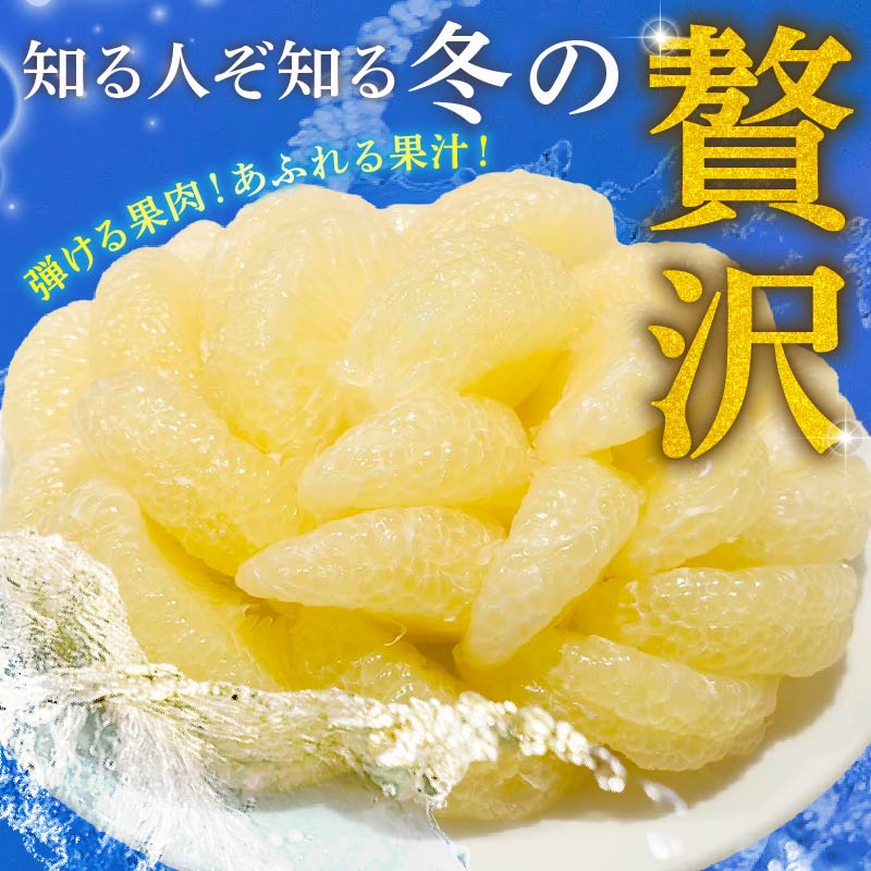 【先行予約】 土佐文旦 ぶんたん 選べるサイズ 容量 文旦 分担 文坦 柑橘 土佐文旦 生産農家直送 みかん 蜜柑 柑橘 柑橘類 期間限定 季節限定 先行予約 ふるさと納税 HT0006