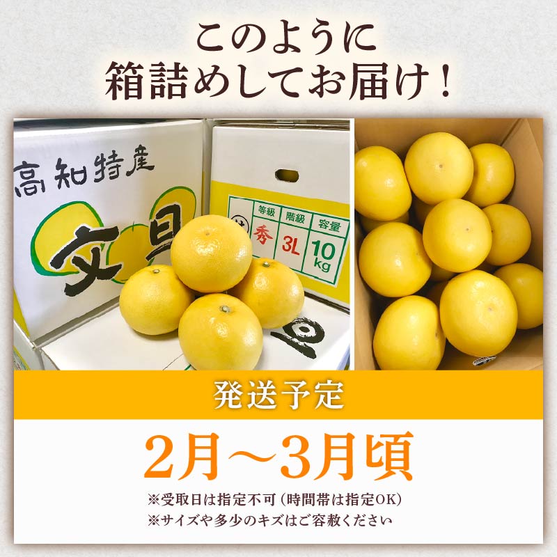 【先行予約】 土佐文旦 ぶんたん 選べるサイズ 容量 文旦 分担 文坦 柑橘 土佐文旦 生産農家直送 みかん 蜜柑 柑橘 柑橘類 期間限定 季節限定 先行予約 ふるさと納税 HT0006