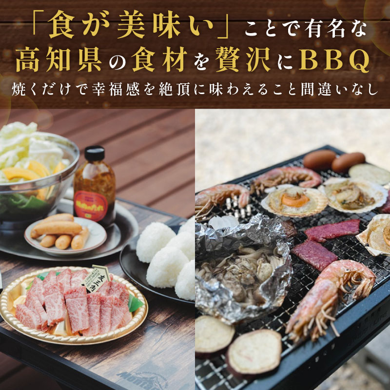 BBQ&サウナ付き 宿泊券(2名様分) バーベキュー いなかじかん 宿泊 宿 ホテル 民宿 コテージ サウナ テントサウナ サウ活 安田川 水風呂 自然 川岸 高知県 安田町 IN-0002