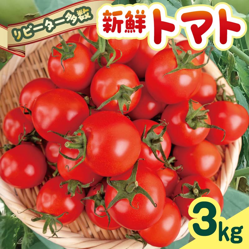 【先行受付】 安田町産 愛情たっぷり 新鮮 トマト 3kg 新鮮 トマト 甘い 旬 野菜 3kg 3キロ 採れたて 夏野菜 フレッシュ 産地直送 甘いトマト レシピ サラダ スープ パスタ TR0009