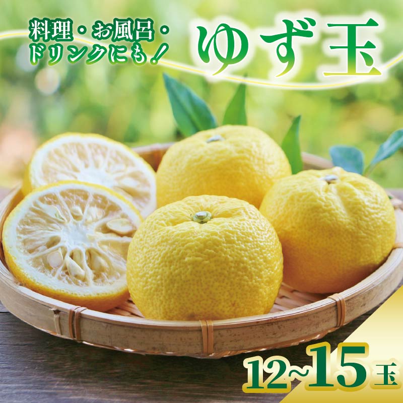 【先行予約】 安田町産 ゆず玉 料理 お酒 お風呂 期間限定 ゆず 12-15玉 柚子 果物 柑橘 フルーツ スイーツ デザート 柚子風呂 ゆず風呂 柚子湯 早期予約 季節限定 ジャム TR0017