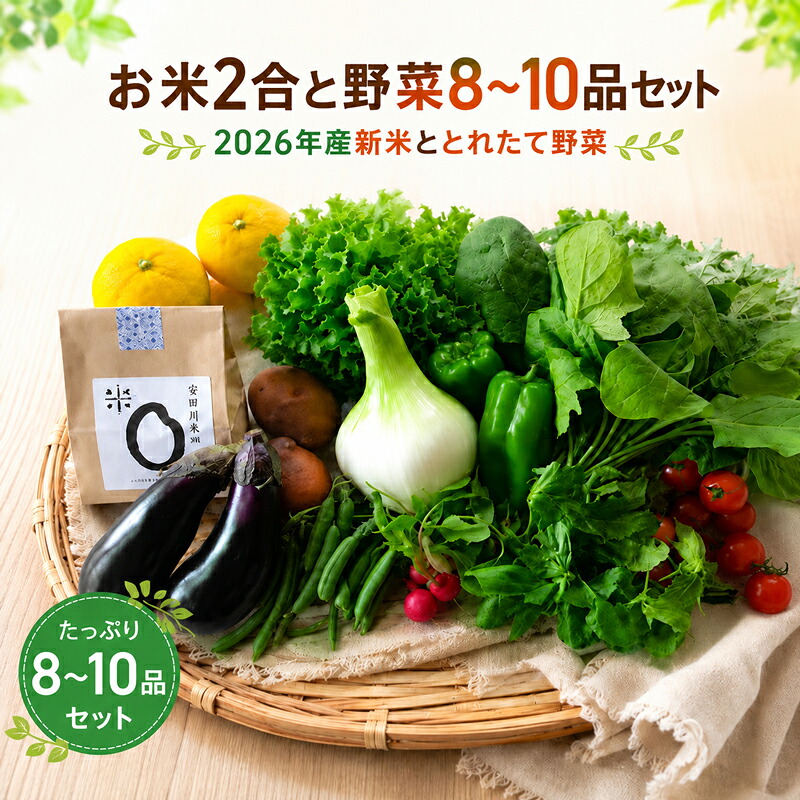 お米 2合 野菜 8～10品目 セット 米 詰め合わせ 300g 白米 ヒノヒカリ 採れたて 果物 やさい フルーツ 使い切り トマト なす MR0001