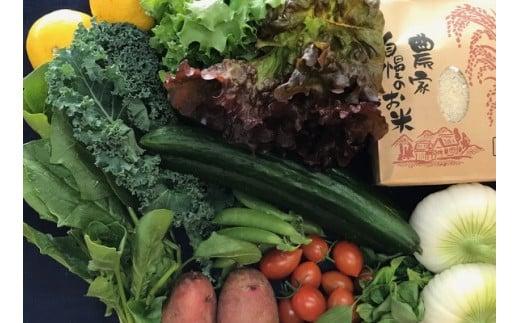 お米 2合 野菜 8～10品目 セット 米 詰め合わせ 300g 白米 ヒノヒカリ 採れたて 果物 やさい フルーツ 使い切り トマト なす MR0001