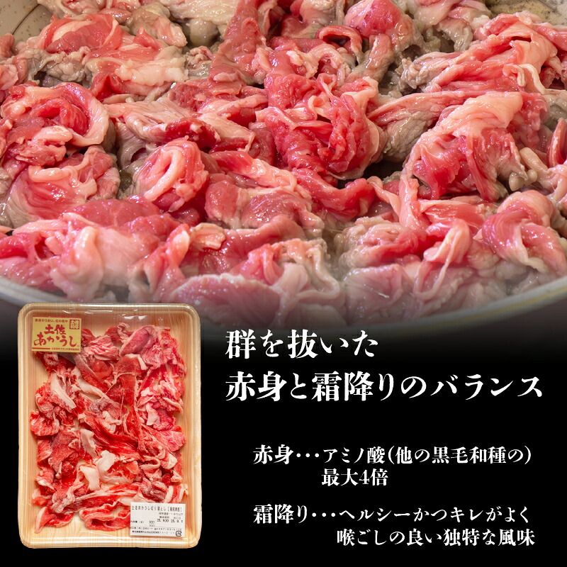土佐あかうし 切り落とし 600g 300g×2 牛肉 和牛 細切れ こま切れ 小間切れ あかうし 土佐 赤牛 赤うし あか牛 ブランド牛 国産 国産牛 高級 ステーキ ロース カルビ MT0001